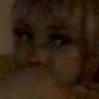 Kittypet Nude